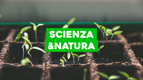 Esperimenti con le Piante: Scienza e Natura in Sinergia