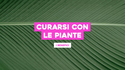 Curarsi con le piante: tutti i benefici