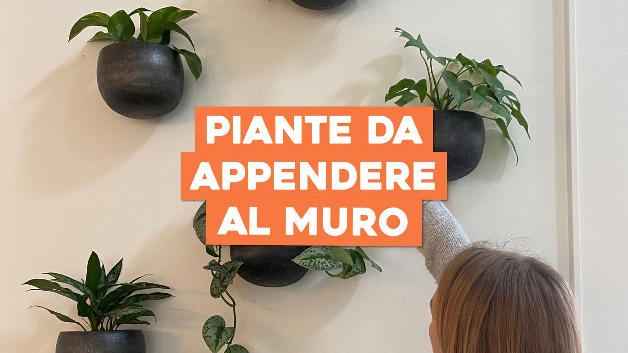 SAFIGLE Cestino A Muro In Finto Rattan Per Aglio E Cipolle, Portafrutta Salvaspazio Con Design Ventilato, Perfetto Per Snack E Verdure