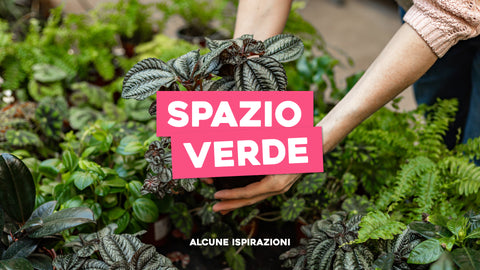 Piante da Giardino Immagini: Ispirazioni per il Tuo Spazio Verde