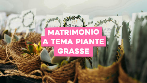 Matrimonio Tema Piante Grasse: Un Altare di Succulenta Bellezza