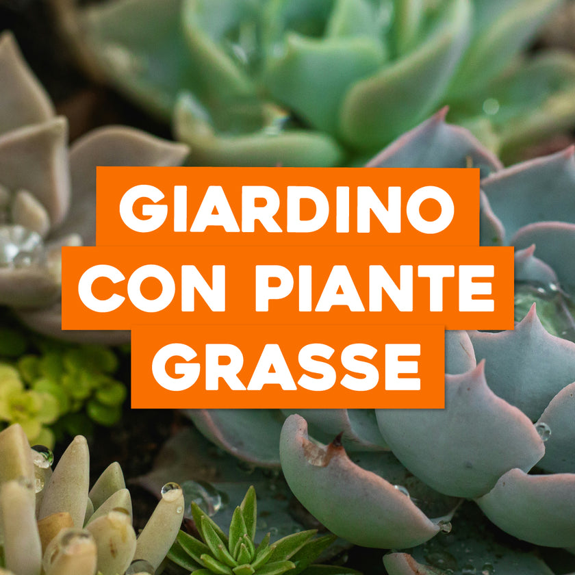 AERLO Fioriera da parete in metallo a forma di luna, vaso da appendere per piante grasse, piante aeree, cactus, decorazione da parete per interni ed esterni, per camera da letto, bagno, soggiorno