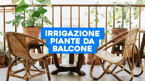 Irrigazione Piante Balcone: Soluzioni Pratiche per un Giardino Urbano