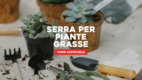 Come costruire una serra per piante grasse: istruzioni e consigli utili