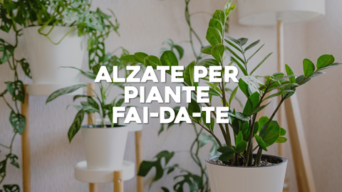 Alzata per Piante Fai da Te: Creatività nel Sostegno alla Tua Flora