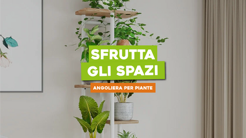 Angoliera per Piante: Sfruttare al Meglio gli Spazi Verticali