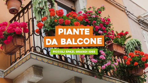 Arredare Balcone con Piante: Piccoli Spazi, Grandi Idee