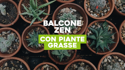 Balcone con piante grasse Zen: Coltiva la Tranquillità con Piante Grasse