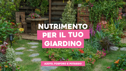 Nutrire il Giardino: Azoto, Fosforo e Potassio per Piante Rigogliose
