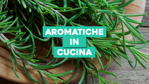 Piante Aromatiche in Cucina: Sapore e Profumo nelle Tue Ricette
