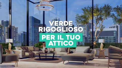 Piante Attico: Verde Rigoglioso Anche Negli Spazi Alti