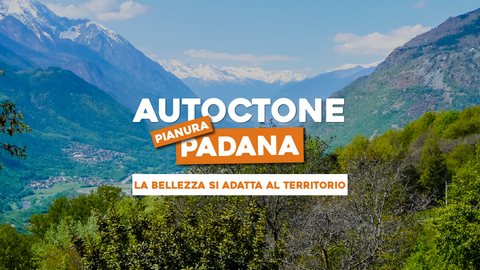 Piante Autoctone Pianura Padana: Bellezza che Si Adatta al Territorio