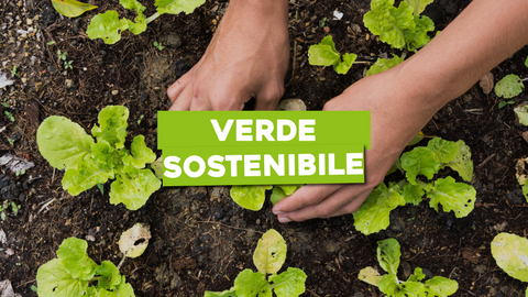 Piante Bio: Verde Coltivato in Modo Sostenibile