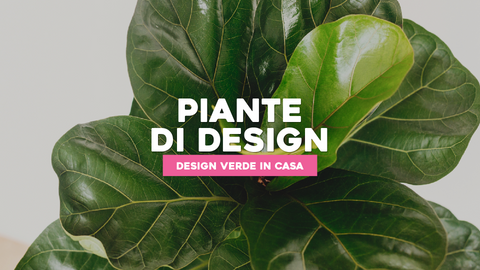 Piante Design da Interno: Verde che Arreda con Eleganza