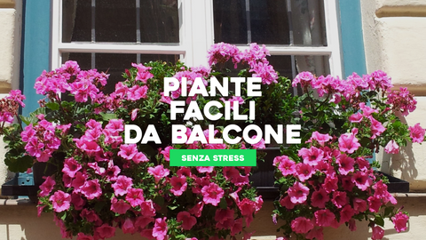 Piante Facili da Balcone: Verde senza Complicazioni per lo Spazio Limitato