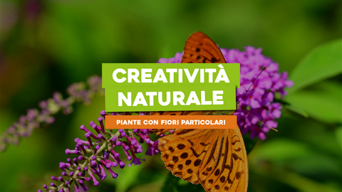 Piante con Fiori Strani: Esplora la Creatività della Natura