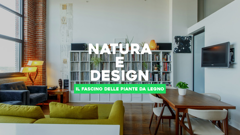 Piante da Legno: Natura e Design in Armonia