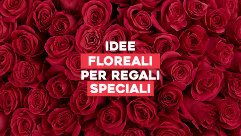 Piante da Regalare: Idee Floreali per Occasioni Speciali