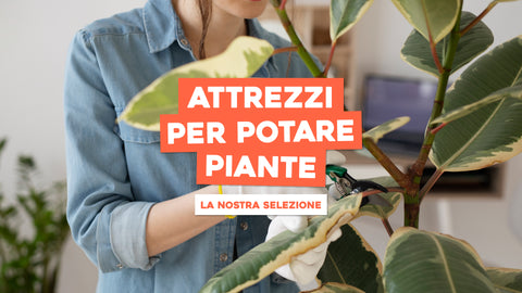 Attrezzi per potare piante alte: la nostra selezione