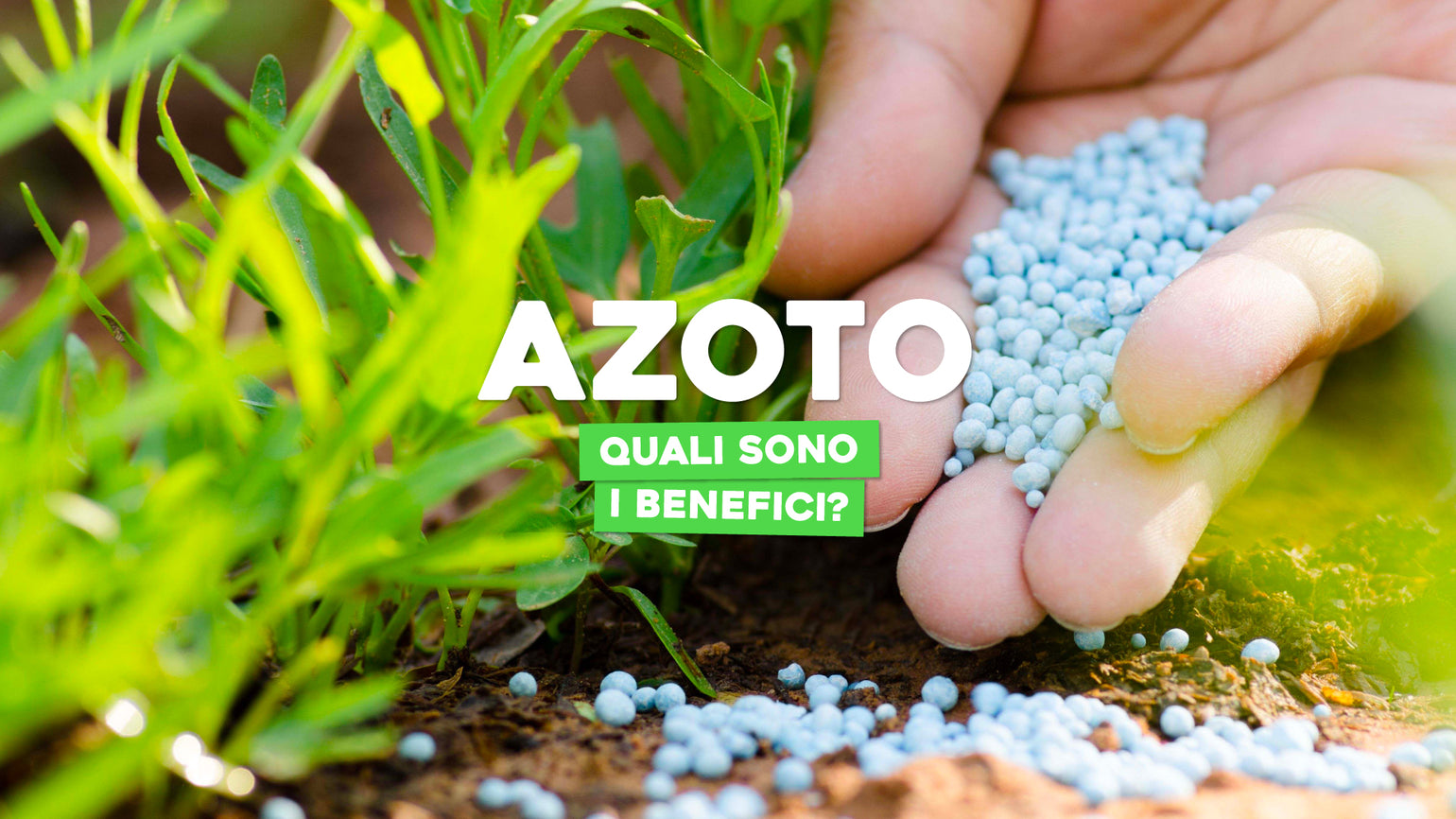 Azoto per piante: a cosa serve e benefici – Simegarden