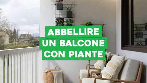 Come Abbellire un Balcone con Piante: Creatività all'Aperto