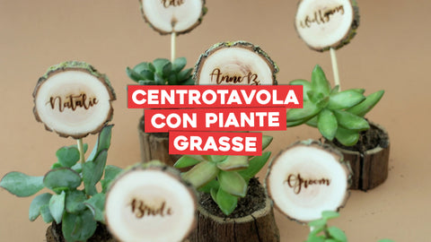 Centrotavola con piante grasse 