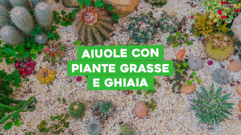 Come creare aiuole con piante grasse e ghiaia: idee e spunti - Simegarden 