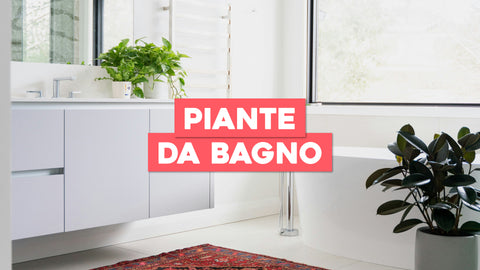 Piante Bagno: Il Tocco Verde per il Tuo Spazio Relax