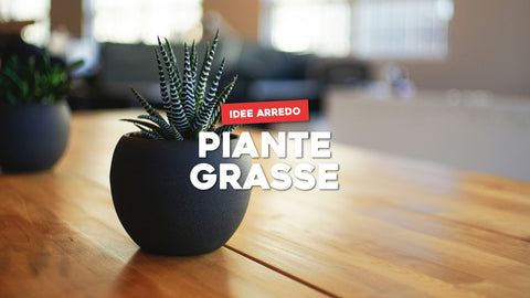 Arredare con piante grasse: tante idee per la tua casa