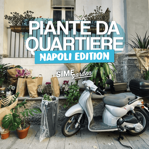 Il particolare microclima napoletano - Simegarden