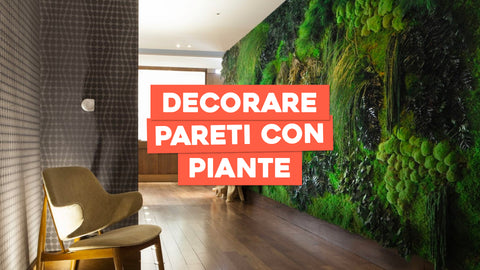 Arredare parete con piante: idee verdi per la tua casa