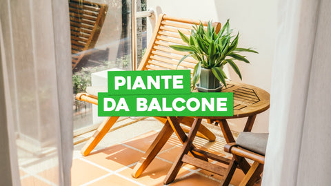 Piante da balcone, quali sono e come curarle - Simegarden 