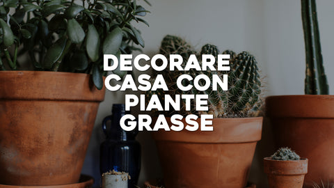 Decorazioni con Piante Grasse: Eleganza Succulenta per la Tua Casa