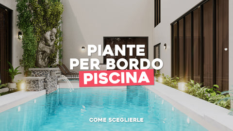 Piante per bordo piscina: ecco come sceglierle