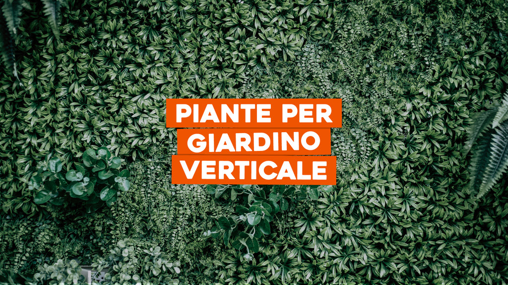 50 Etichette Piante Windhager Con Penna - Plastica Bianca 1.3x12.5 Cm Per Giardino - Foto 6