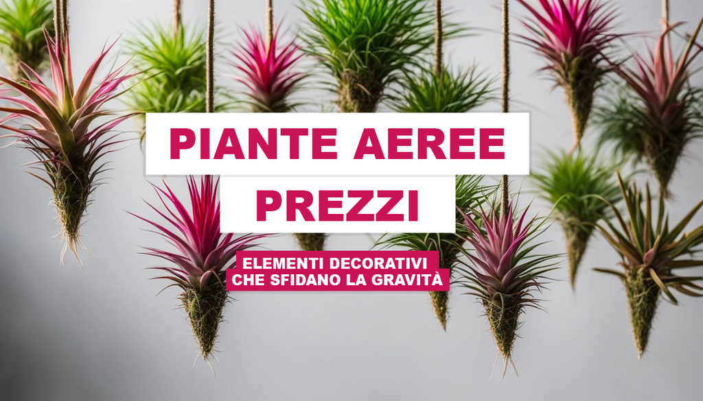 Update - Confezione da 2 ganci per piante grandi da 104 cm Update - Confezione da 2 ganci per piante grandi da 104 cm