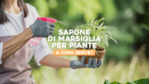 Sapone di marsiglia per piante 