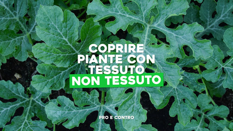 Coprire piante con tessuto non tessuto: pro e contro