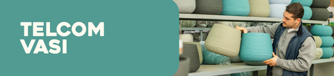 Telcom Vasi