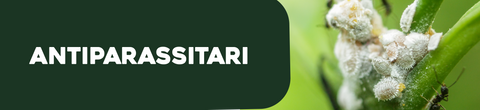 Antiparassitari piante