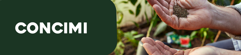 Concimi