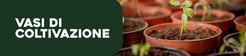 Vasi di coltivazione