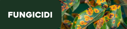 Fungicida naturale per piante