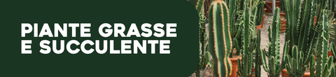 Piante grasse e succulente