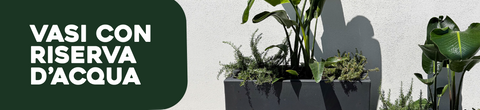 Vasi con riserva d'acqua