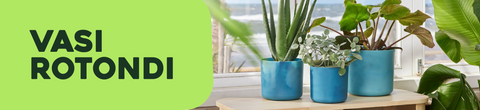 Vasi rotondi
