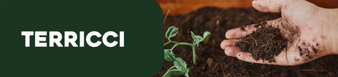 Terricci