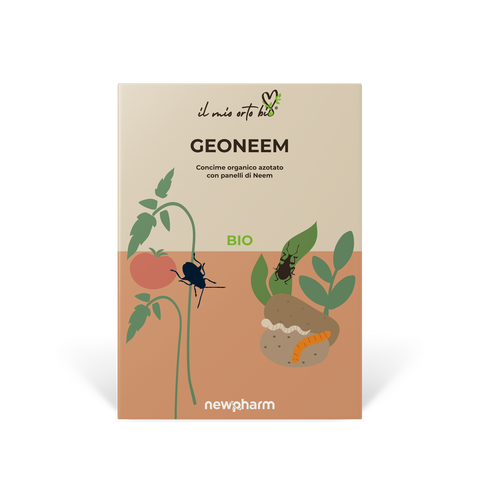 Geoneem