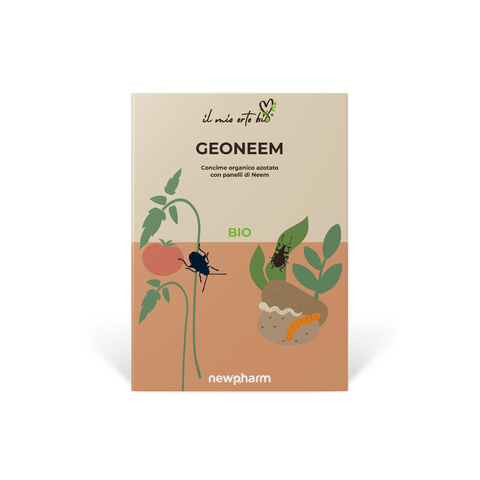 Geoneem