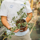 Simegarden Cappero 17 cm